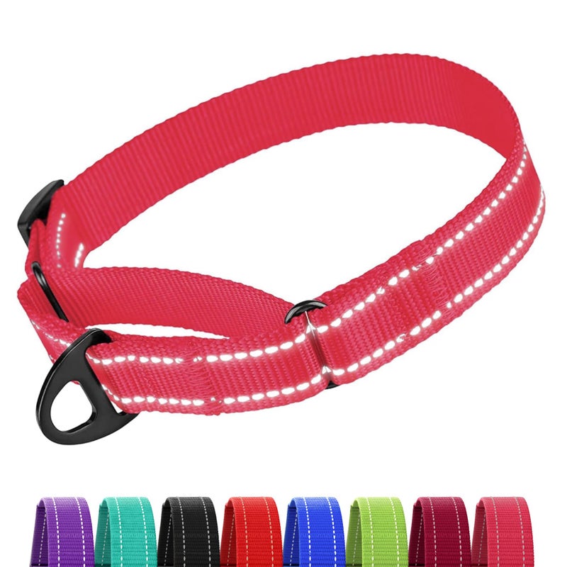 CollarDirect Reflective Martingale Dog Collar Nylon Heavy Duty Training Pet Collars for Small Medium Large Dogs Puppy Black Blue Mint Green Red Pink Purple Dark Red (M, Neck Size 13"-18", Pink) - Image 1